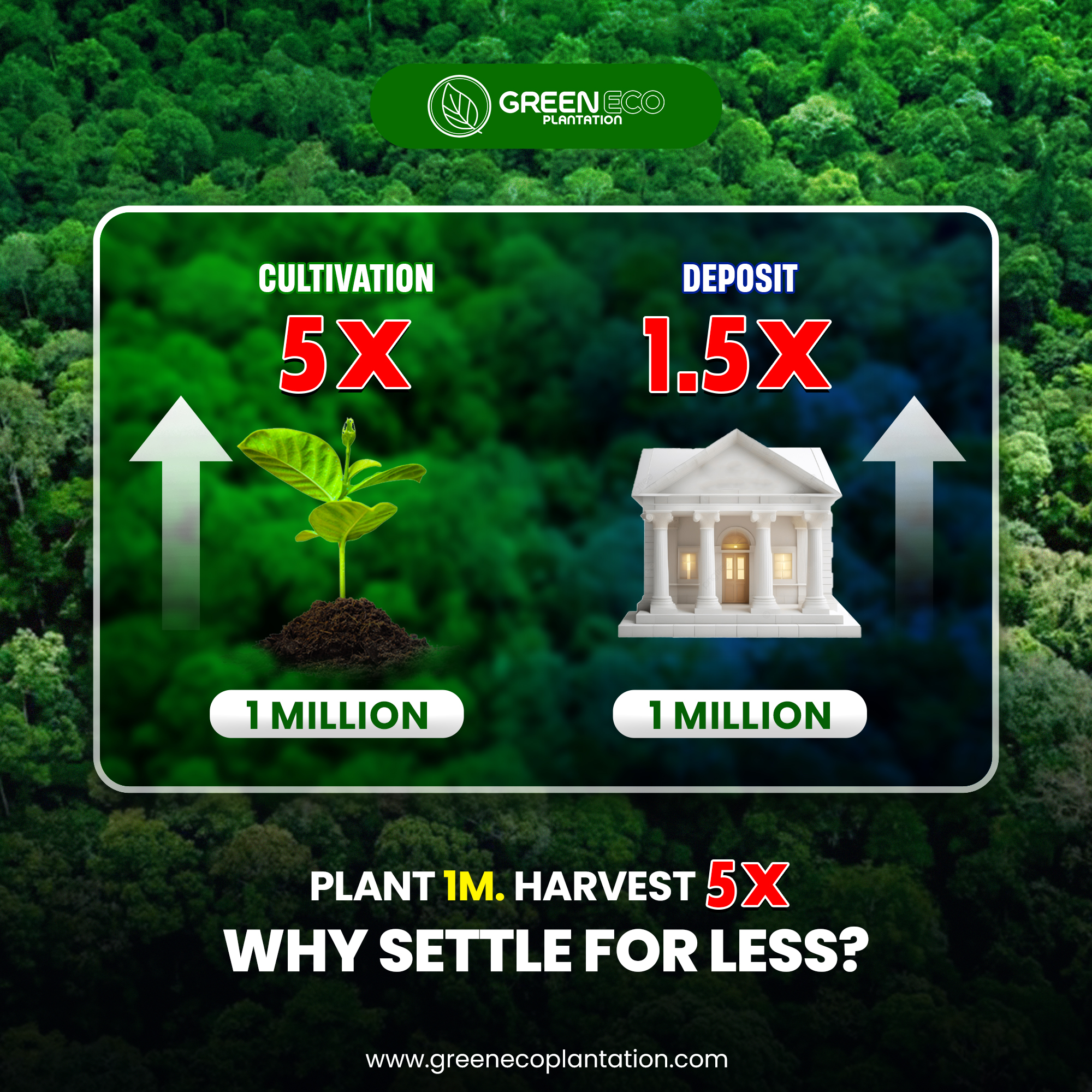 Corporate Brand Identity