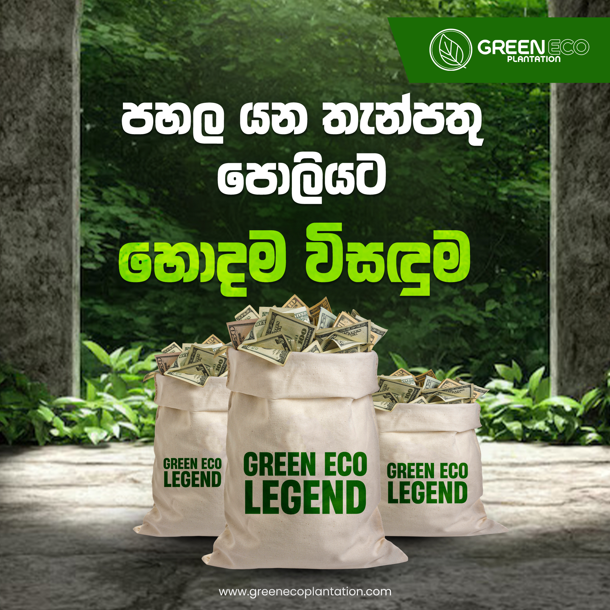 Corporate Brand Identity 12