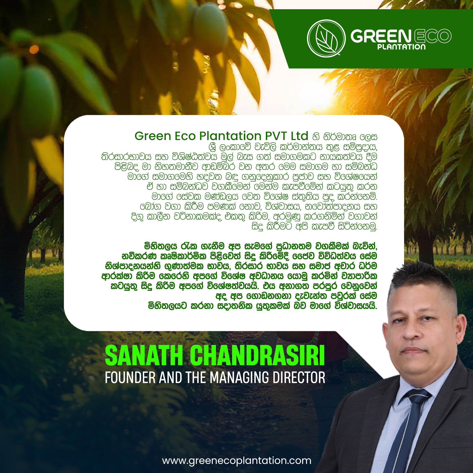 Corporate Brand Identity 15