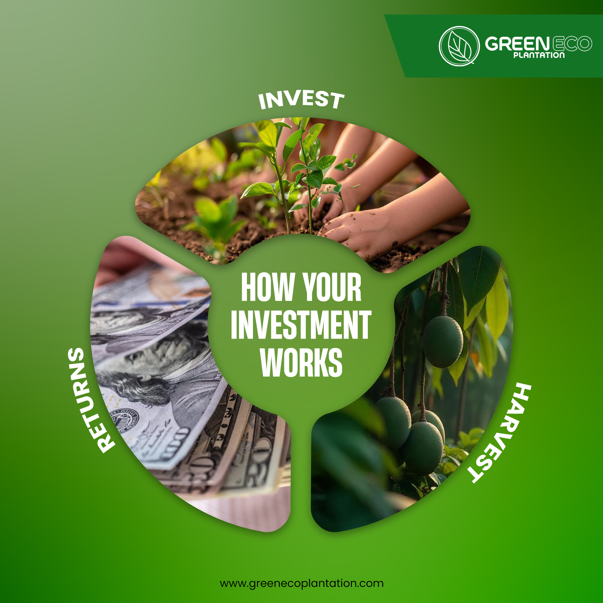 Corporate Brand Identity 4