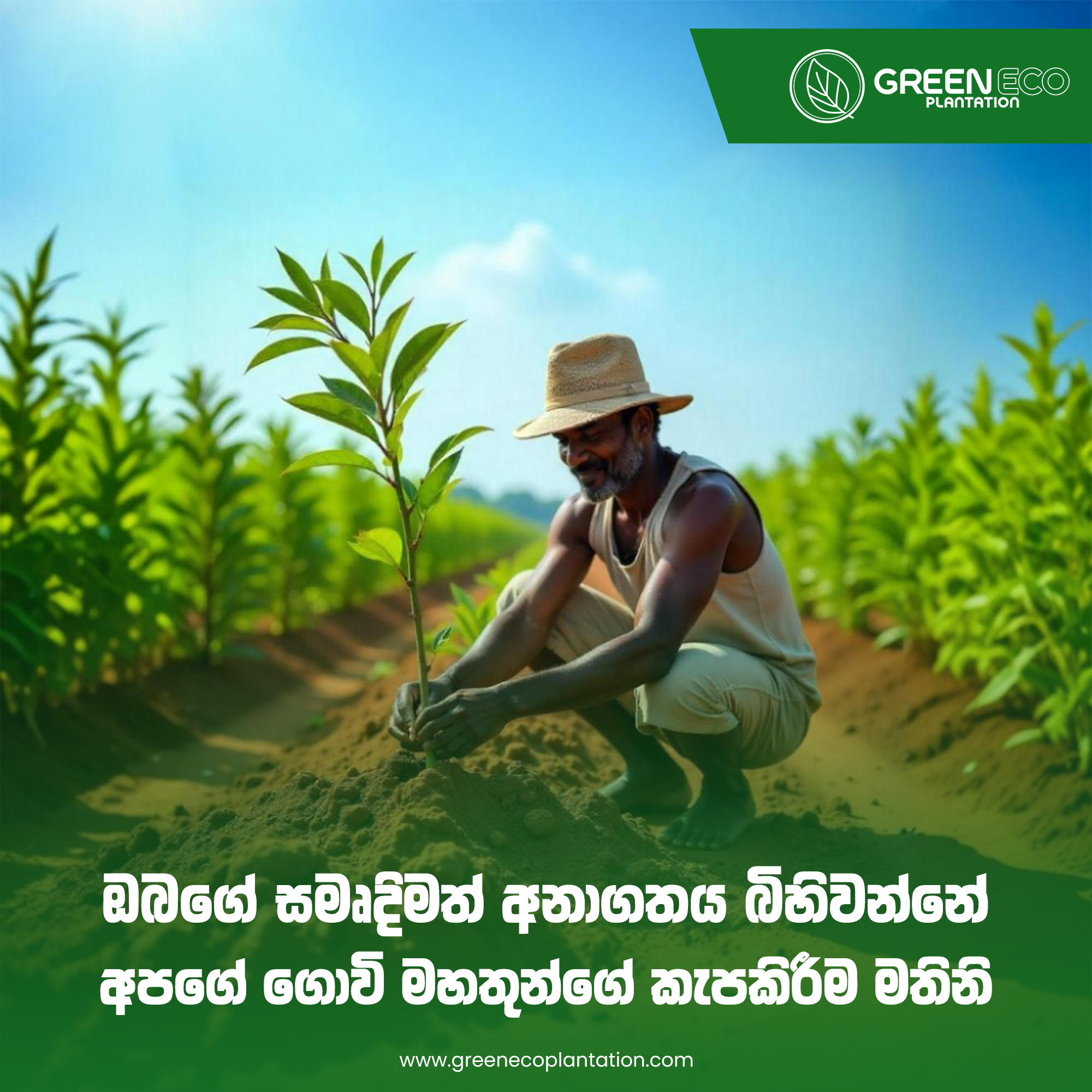 Corporate Brand Identity 6