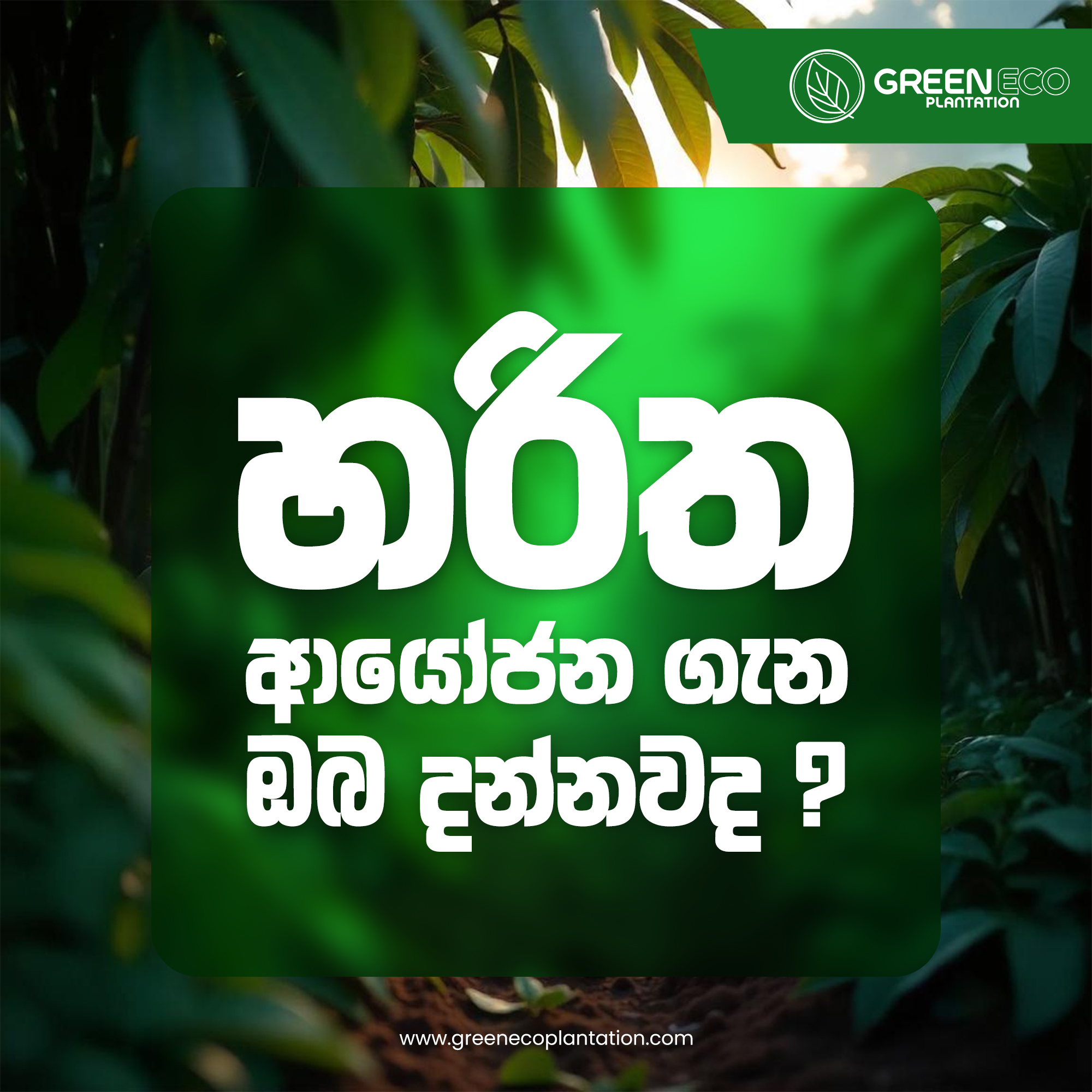 Corporate Brand Identity 7